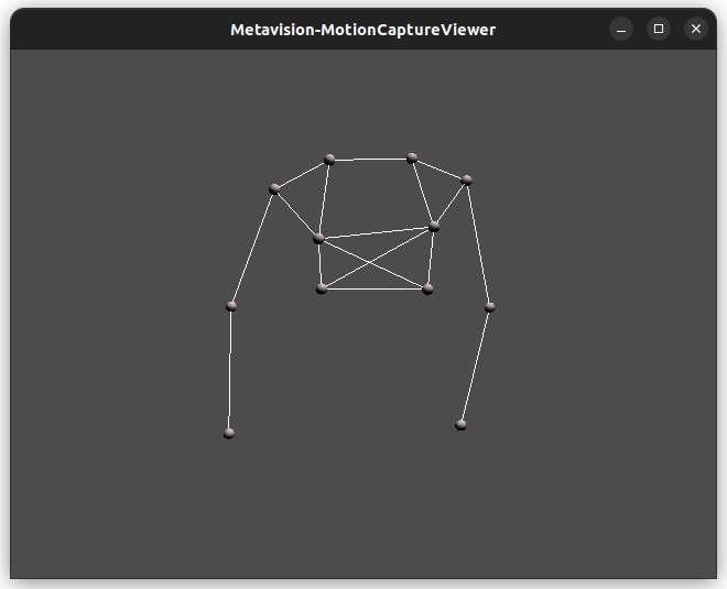 Expected Output from Metavision Simple Motion Capture (3D Viewer)